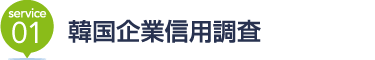 [service01] 韓国企業信用調査