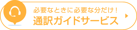 必要なときに必要な分だけ! 通訳ガイドサービス